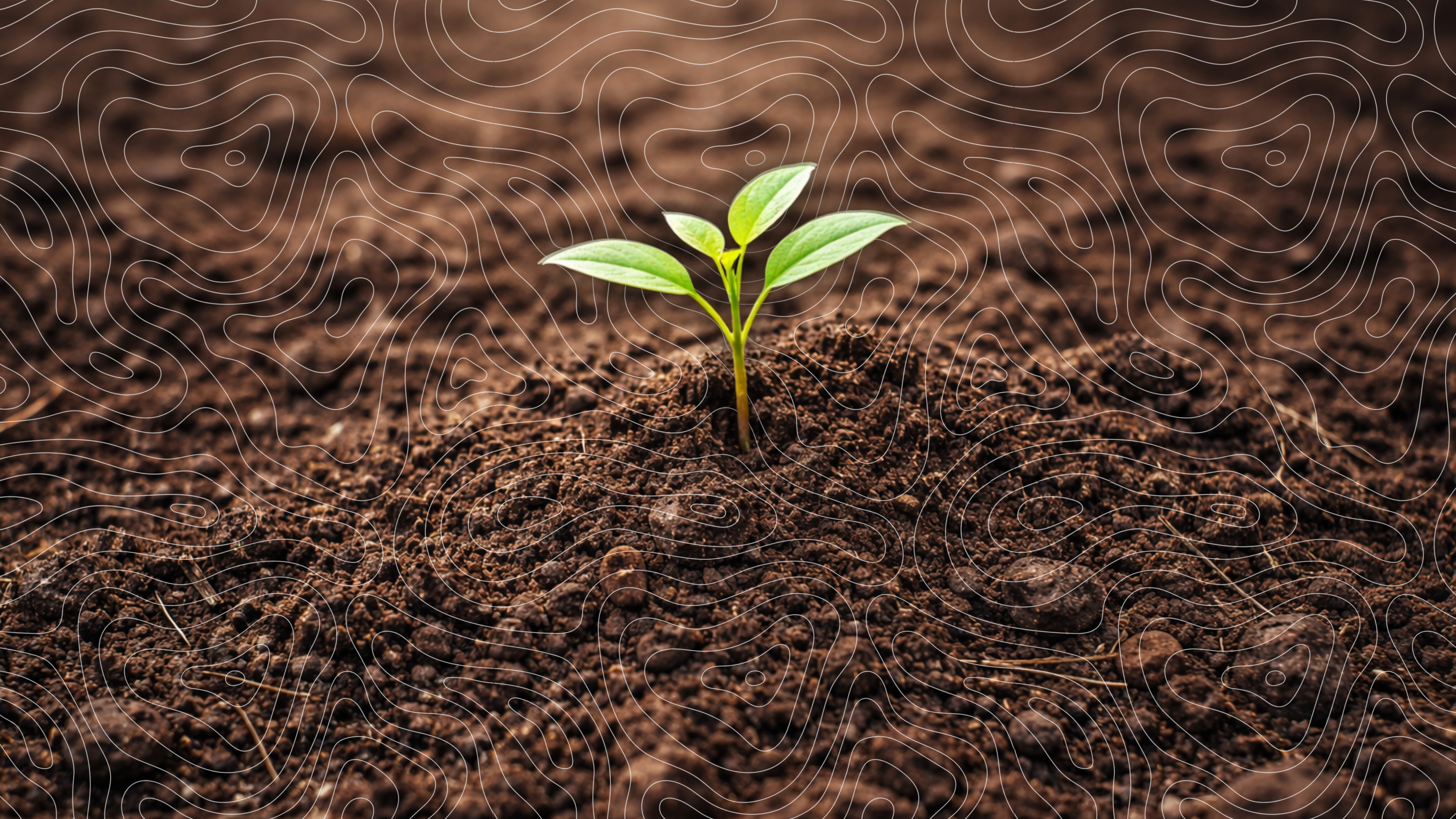 Soil reduction disinfection cost calculator – seedling and soil